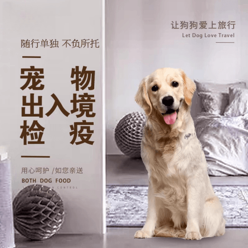 闵行区宠物托运到哥伦比亚猫狗宠物入境规定和