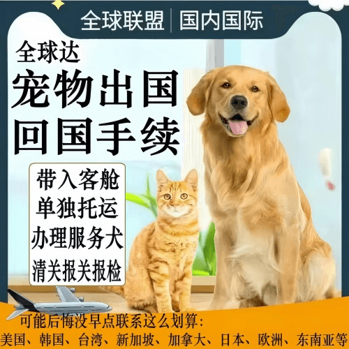 闵行区宠物托运到柬埔寨宠物入境规定和要求